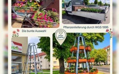 Unsere neue Blumenpyramide