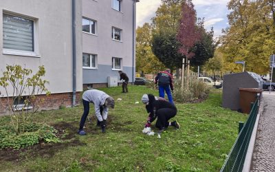 3.200 Frühblüher für ein buntes Stadtfeld Ost